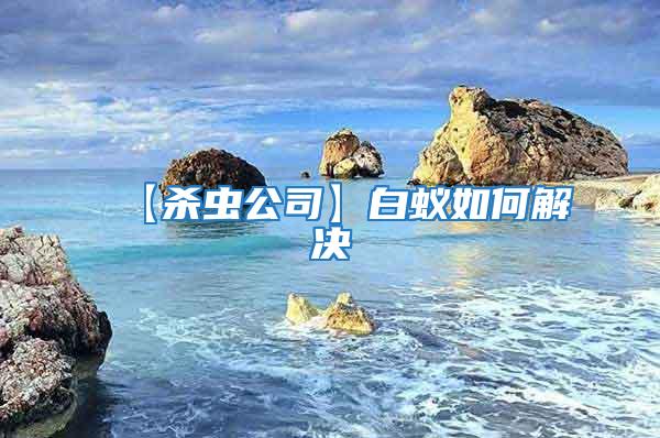 【殺蟲公司】白蟻如何解決