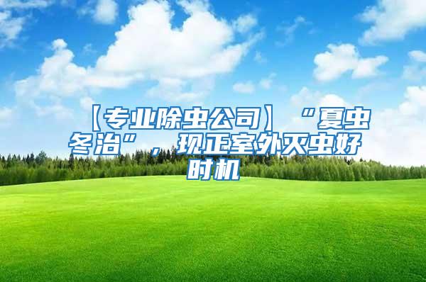 【專業除蟲公司】“夏蟲冬治”，現正室外滅蟲好時機