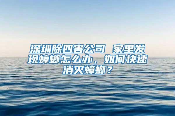 深圳除四害公司 家里發現蟑螂怎么辦，如何快速消滅蟑螂？