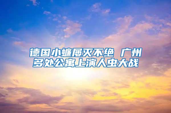 德國(guó)小蠊屢滅不絕 廣州多處公寓上演人蟲(chóng)大戰(zhàn)