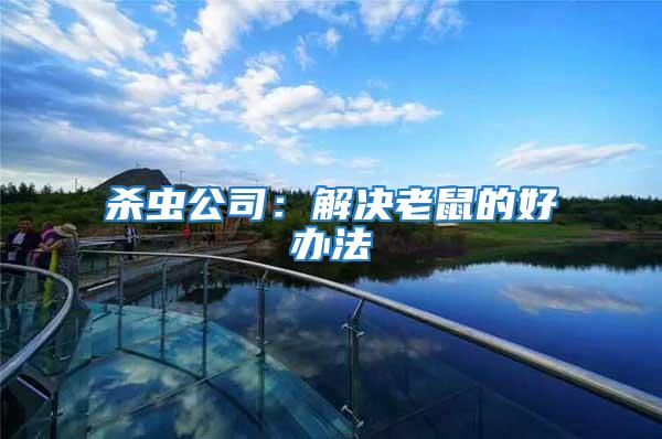 殺蟲(chóng)公司：解決老鼠的好辦法