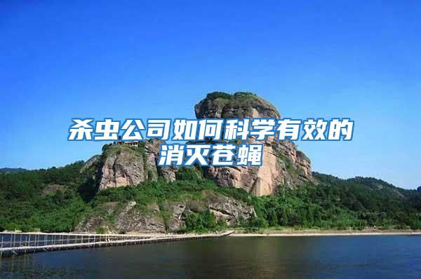 殺蟲公司如何科學有效的消滅蒼蠅