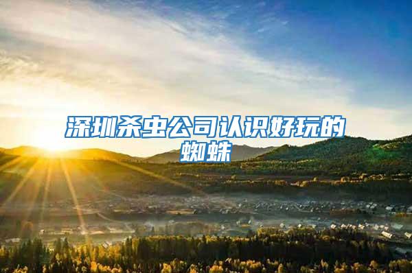 深圳殺蟲公司認識好玩的蜘蛛