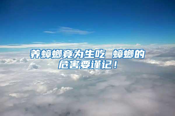養蟑螂竟為生吃 蟑螂的危害要謹記！