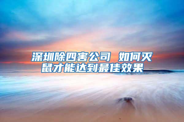 深圳除四害公司 如何滅鼠才能達到最佳效果