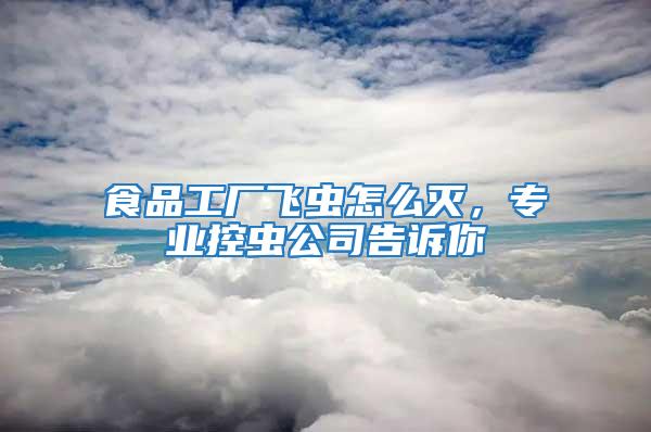 食品工廠飛蟲怎么滅，專業(yè)控蟲公司告訴你