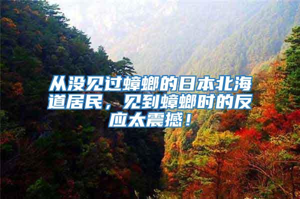 從沒見過蟑螂的日本北海道居民，見到蟑螂時的反應太震撼！