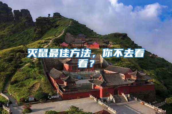 滅鼠最佳方法，你不去看看？
