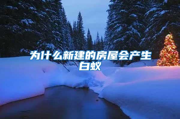 為什么新建的房屋會產生白蟻