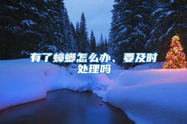 有了蟑螂怎么辦、要及時處理嗎
