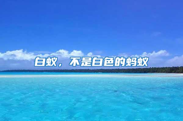 白蟻，不是白色的螞蟻
