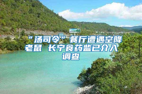 “湯司令”餐廳遭遇空降老鼠 長寧食藥監已介入調查