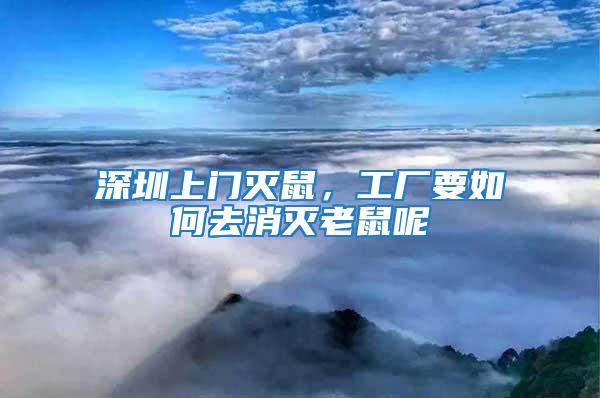 深圳上門滅鼠，工廠要如何去消滅老鼠呢