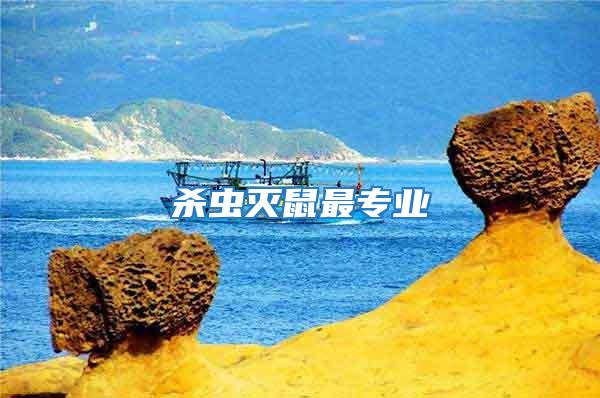 殺蟲滅鼠最專業