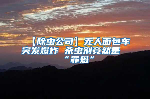 【除蟲公司】無人面包車突發(fā)爆炸 殺蟲劑竟然是“罪魁”
