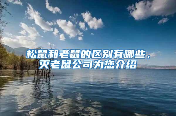 松鼠和老鼠的區(qū)別有哪些，滅老鼠公司為您介紹