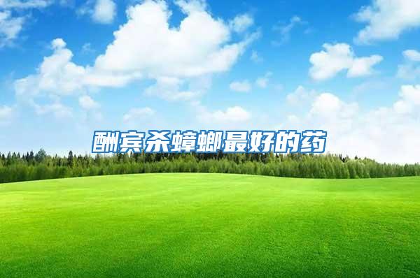 酬賓殺蟑螂最好的藥