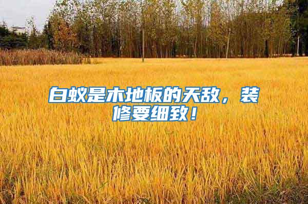 白蟻是木地板的天敵，裝修要細(xì)致！