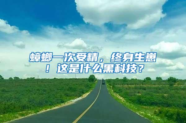 蟑螂一次受精，終身生崽！這是什么黑科技？