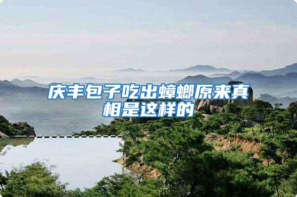 慶豐包子吃出蟑螂原來真相是這樣的