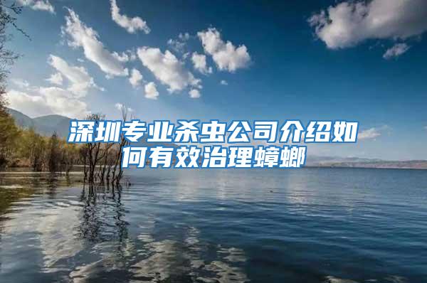 深圳專業(yè)殺蟲(chóng)公司介紹如何有效治理蟑螂