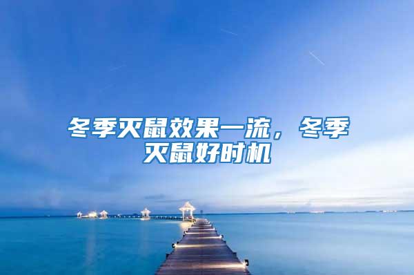 冬季滅鼠效果一流，冬季滅鼠好時機