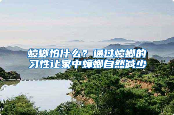 蟑螂怕什么？通過蟑螂的習性讓家中蟑螂自然減少