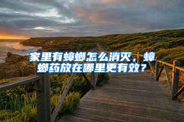 家里有蟑螂怎么消滅，蟑螂藥放在哪里更有效？
