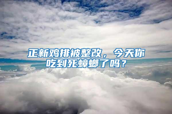 正新雞排被整改，今天你吃到死蟑螂了嗎？