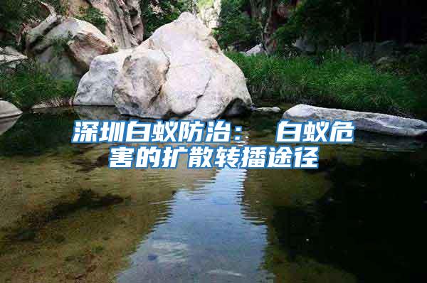 深圳白蟻防治： 白蟻危害的擴散轉播途徑