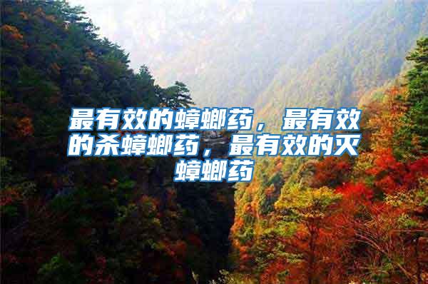 最有效的蟑螂藥，最有效的殺蟑螂藥，最有效的滅蟑螂藥