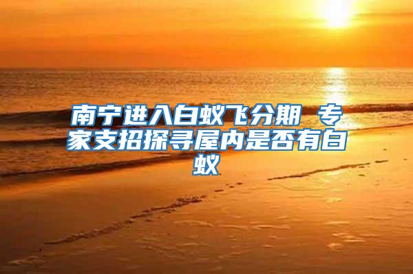 南寧進入白蟻飛分期 專家支招探尋屋內(nèi)是否有白蟻