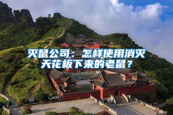 滅鼠公司：怎樣使用消滅天花板下來(lái)的老鼠？