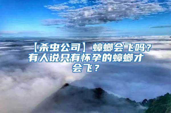 【殺蟲公司】蟑螂會飛嗎？有人說只有懷孕的蟑螂才會飛？