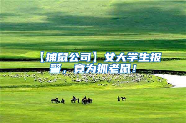 【捕鼠公司】女大學生報警，竟為抓老鼠！