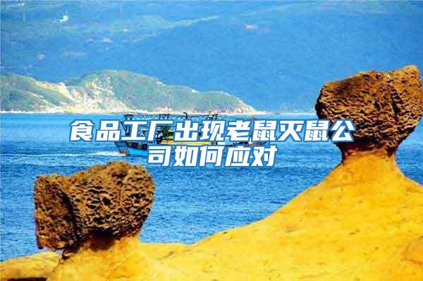 食品工廠出現老鼠滅鼠公司如何應對