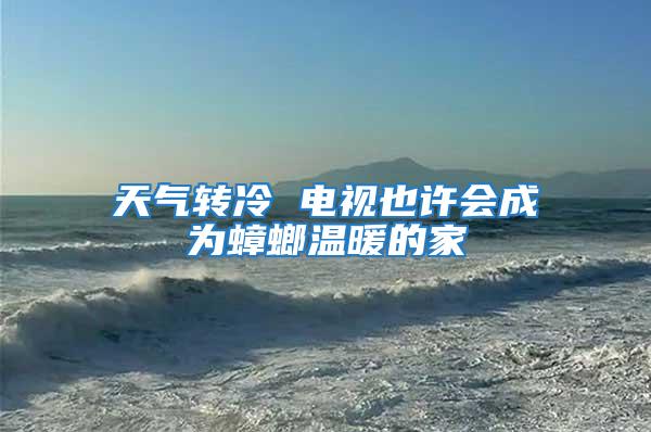 天氣轉冷 電視也許會成為蟑螂溫暖的家