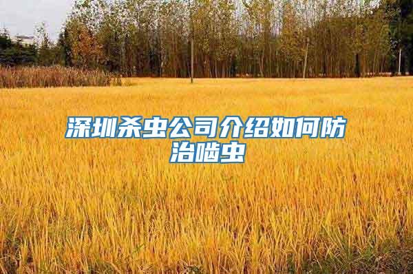 深圳殺蟲(chóng)公司介紹如何防治嚙蟲(chóng)