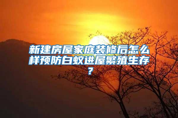 新建房屋家庭裝修后怎么樣預防白蟻進屋繁殖生存？