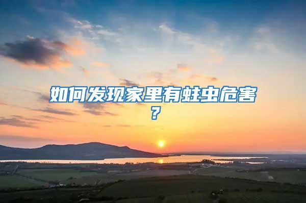 如何發現家里有蛀蟲危害？