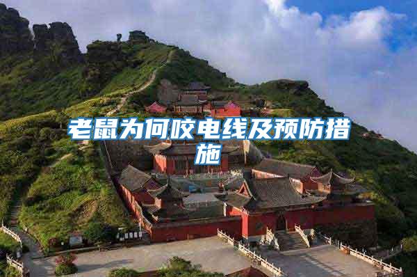 老鼠為何咬電線及預防措施