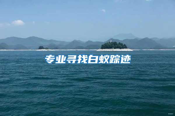 專業尋找白蟻蹤跡