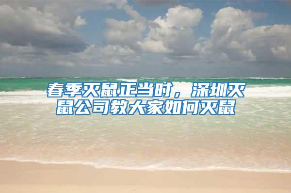 春季滅鼠正當時，深圳滅鼠公司教大家如何滅鼠