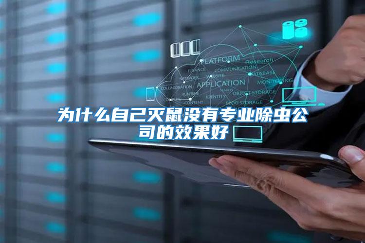 為什么自己滅鼠沒有專業(yè)除蟲公司的效果好