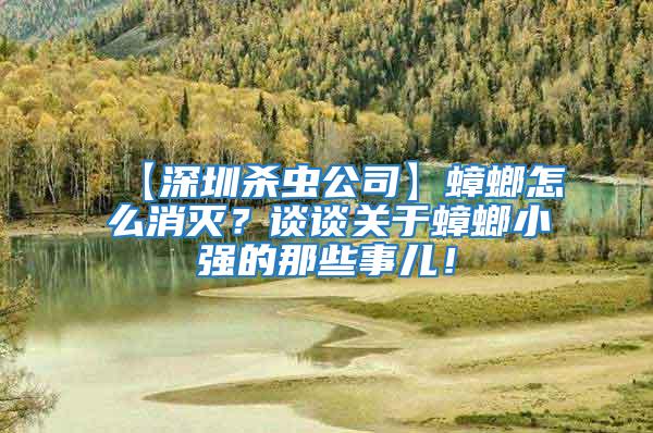 【深圳殺蟲公司】蟑螂怎么消滅？談談關于蟑螂小強的那些事兒！