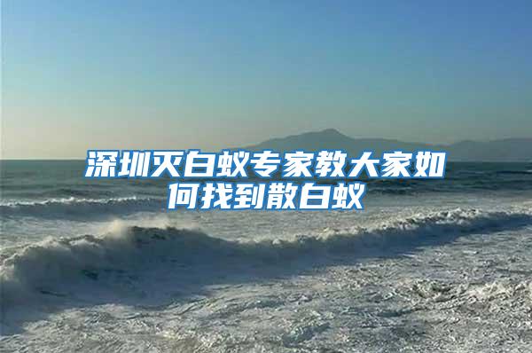 深圳滅白蟻專家教大家如何找到散白蟻