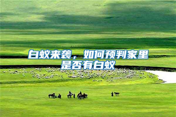 白蟻來襲，如何預判家里是否有白蟻