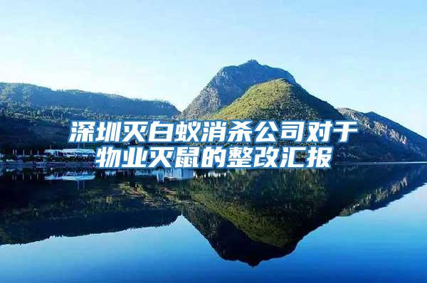深圳滅白蟻消殺公司對于物業滅鼠的整改匯報