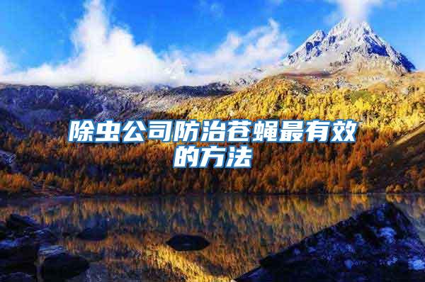 除蟲(chóng)公司防治蒼蠅最有效的方法