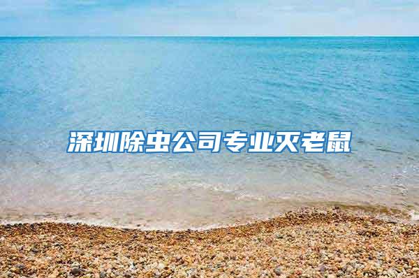 深圳除蟲公司專業滅老鼠